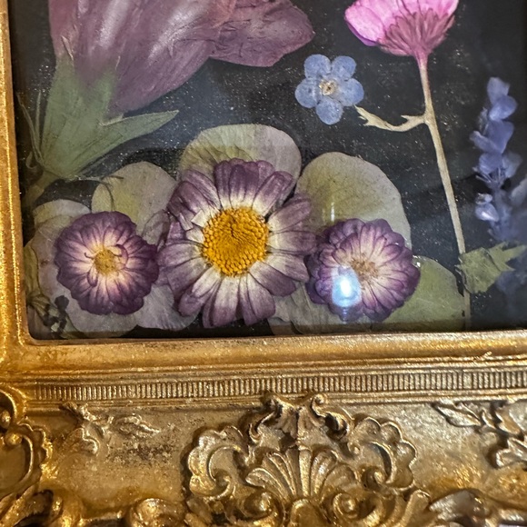 Unique Rare Pressed Flowers and Genuine Butterfly taxonomy Floral Art. - Picture 5 of 12